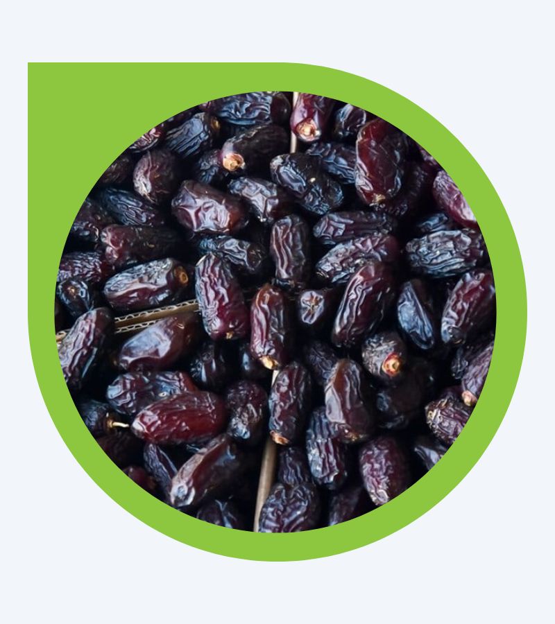 Safawi_20250211_145037_0000