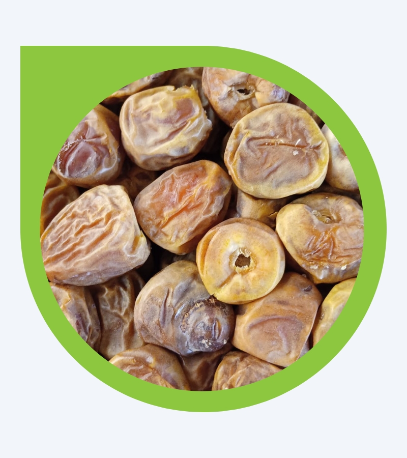 Sagai_20250211_143546_0000